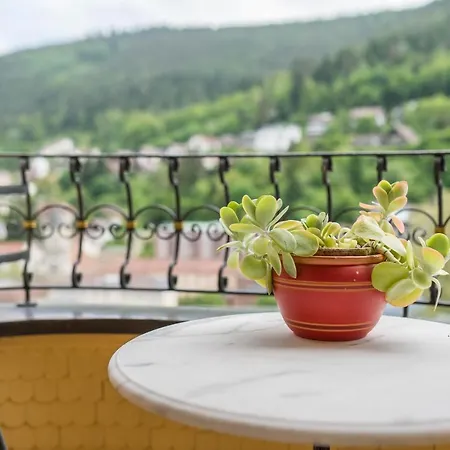 Ferienwohnung Saline Bad Wildbad Zewnętrze zdjęcie