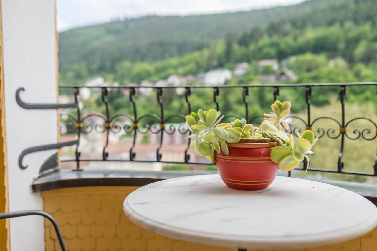 Apartment Saline Bad Wildbad